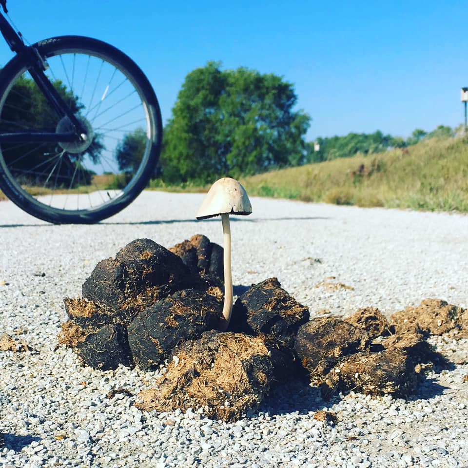 horse poop life lesson bike trail god works all things for good