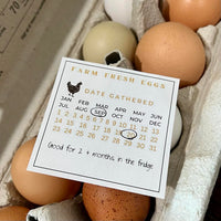 Free Chicken Egg Calendar