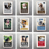 Custom Dog Magnets